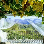 Quinta Vale De Carvalho * Pinhal do Douro