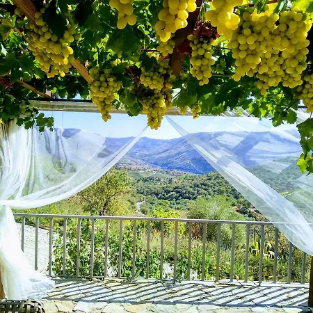 Quinta Vale De Carvalho * Pinhal do Douro