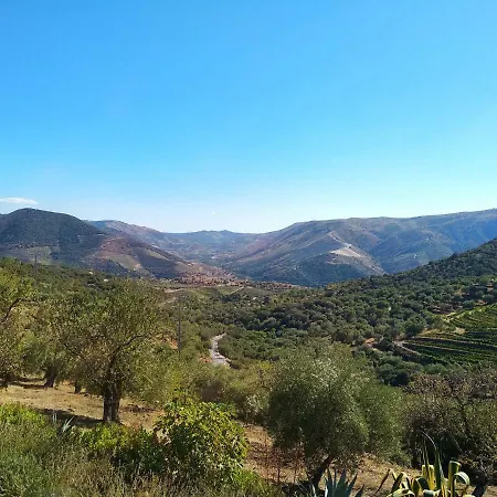 Quinta Vale De Carvalho *