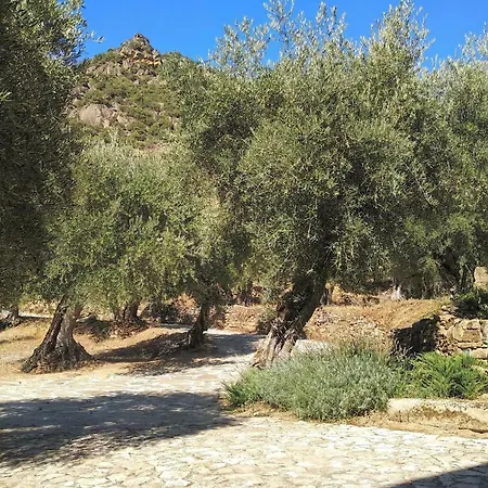 Quinta Vale De Carvalho * Pinhal do Douro