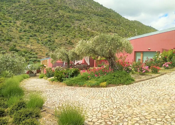 Casa de Campo Quinta Vale De Carvalho Pinhal do Douro