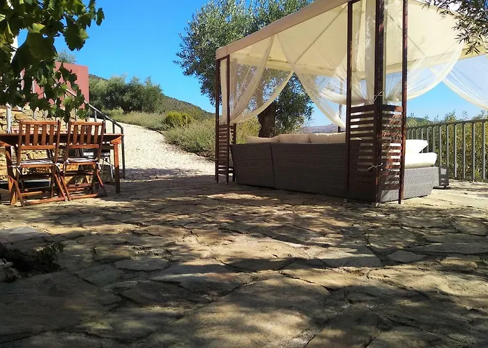 컨트리하우스 Quinta Vale De Carvalho Pinhal do Douro