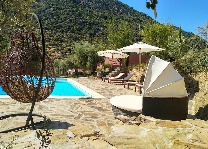 Quinta Vale De Carvalho 컨트리하우스