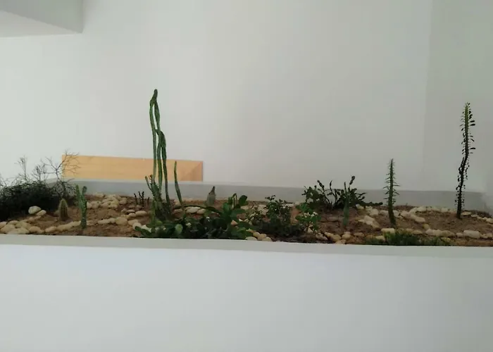 Quinta Vale De Carvalho * Pinhal do Douro