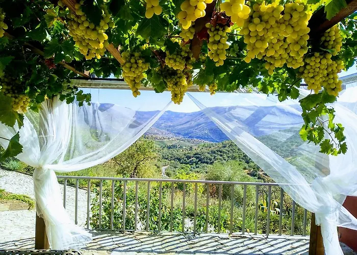 Quinta Vale De Carvalho * Pinhal do Douro