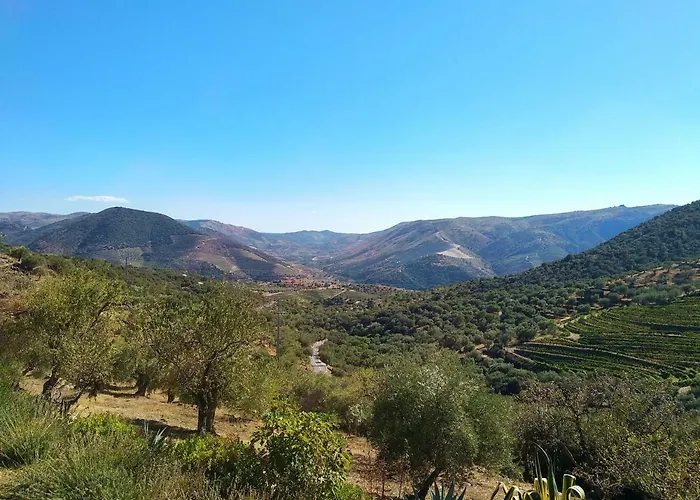 Quinta Vale De Carvalho *