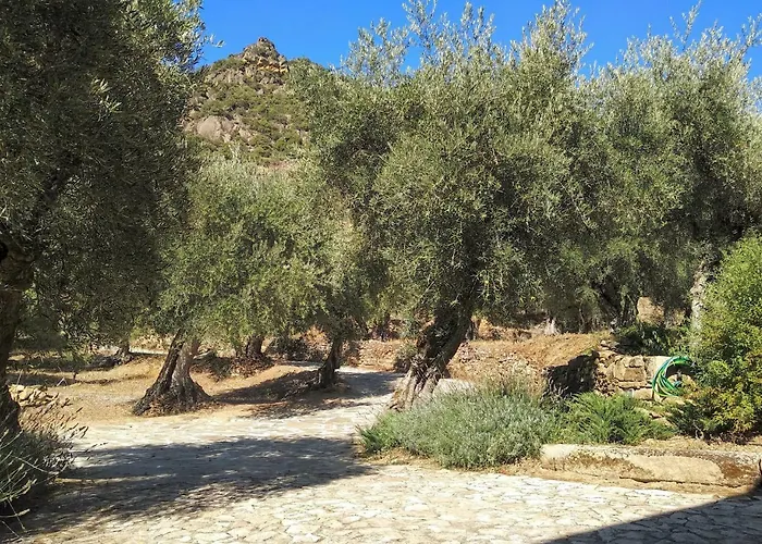 Quinta Vale De Carvalho * Pinhal do Douro